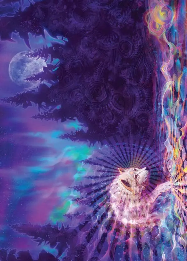  - 564-IOPI0841L_lg-1jpg