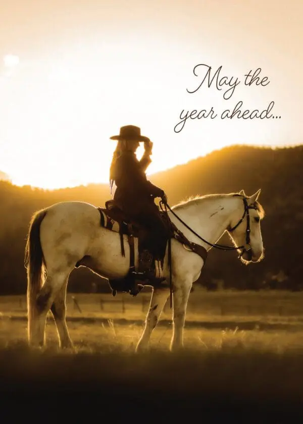  - 564-IOPW0317L_lgjpg