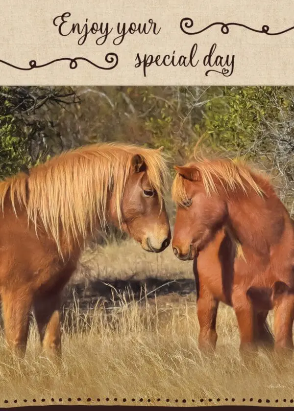  - 564-IOPW0334L_lgjpg