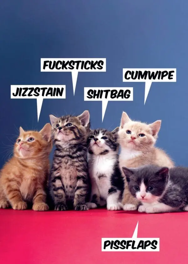  - 6723-DMU20241_lg-1jpg