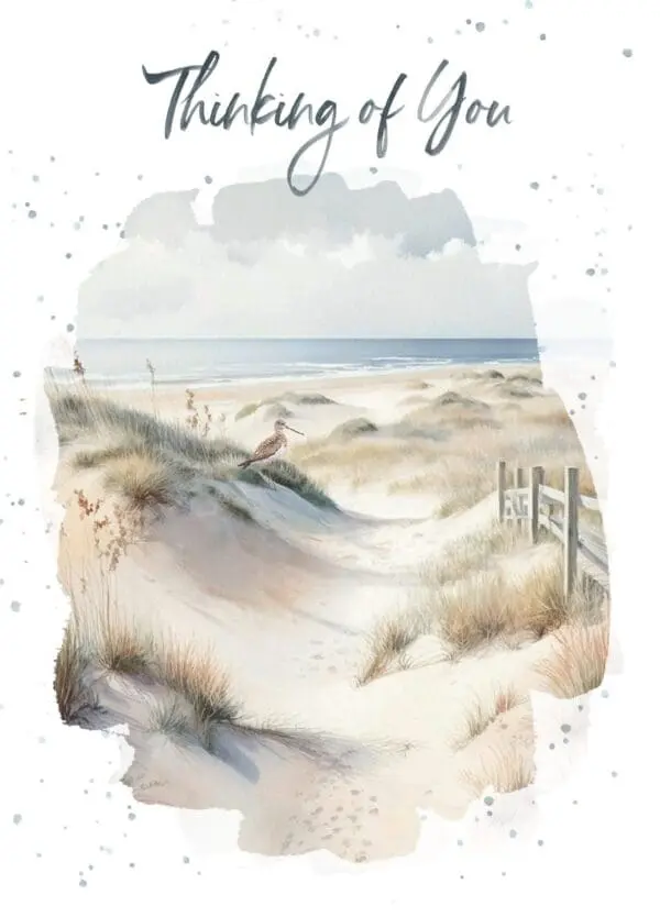  - 947-CSTHOP0307_lgjpg