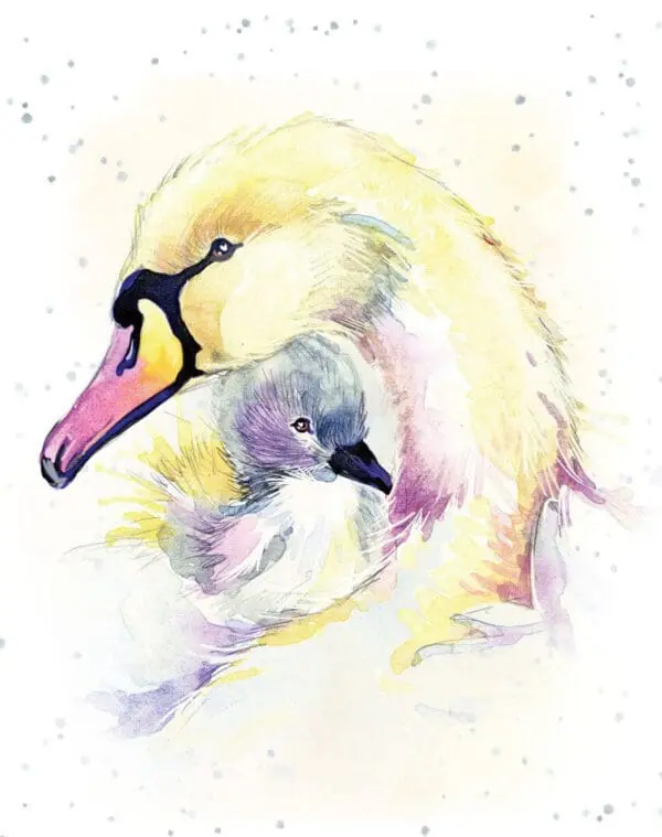  - 947-EHOP0096_lgjpg