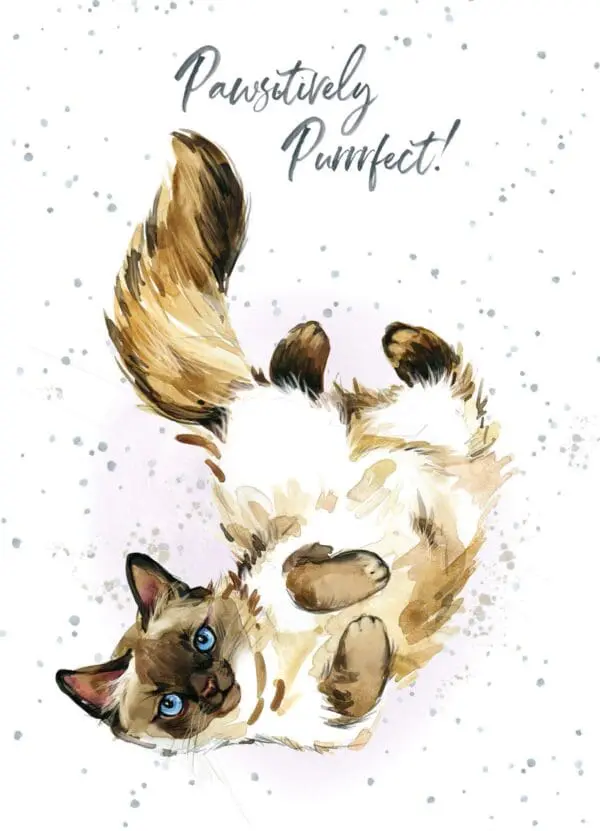  - 947-HOP0002_lg-1jpg