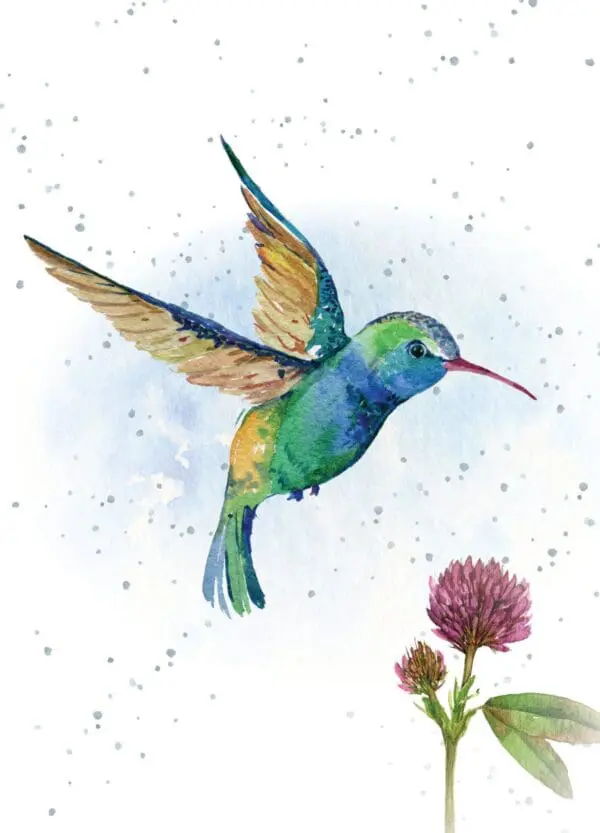  - 947-HOP0005B_lgjpg