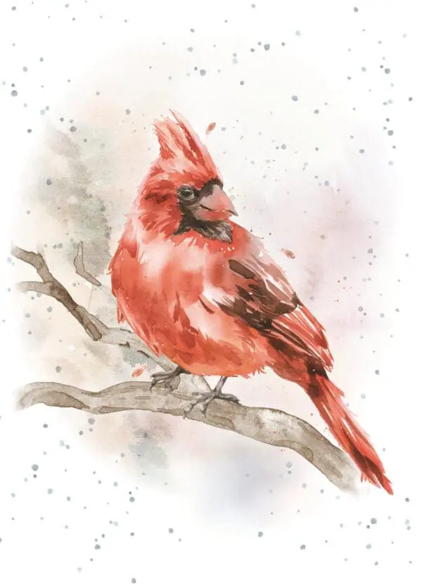  - 947-HOP0097B_lgjpg