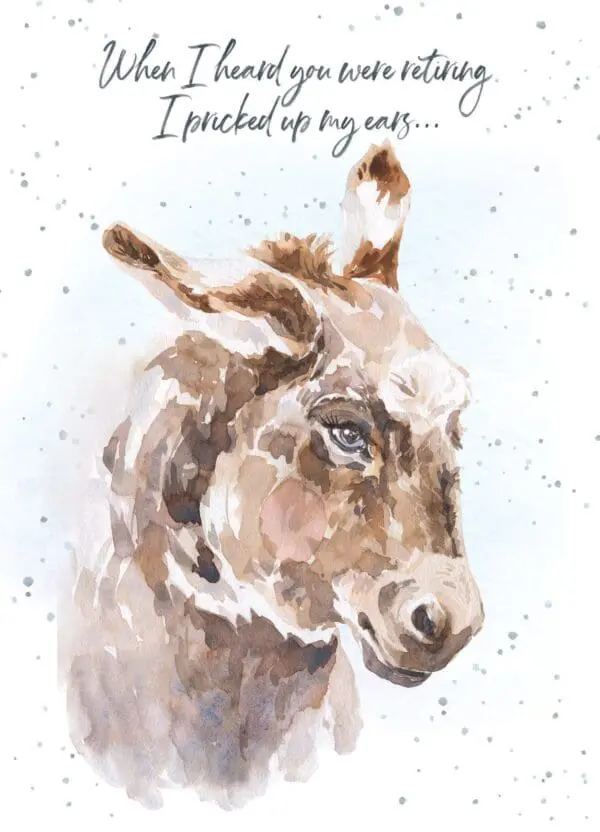 947-HOP0128_lgjpg - Bellaflor - 947-HOP0128_lgjpg