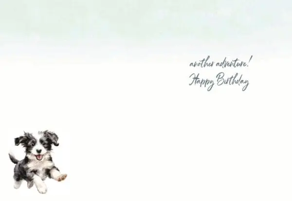  - 947-HOP0229_1_lgjpg