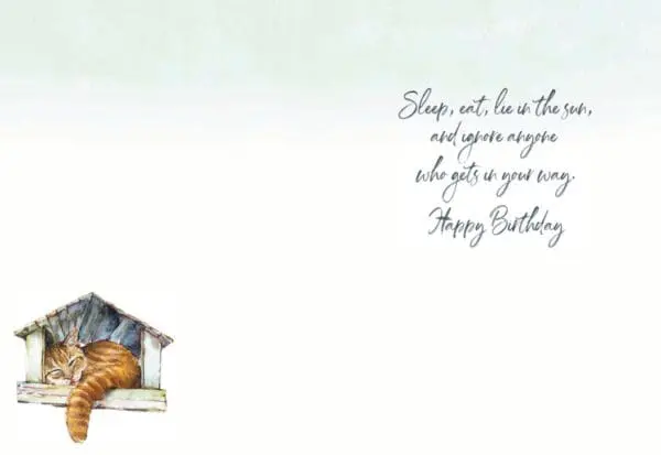 947-HOP0230_1_lgjpg - Bellaflor - 947-HOP0230_1_lgjpg