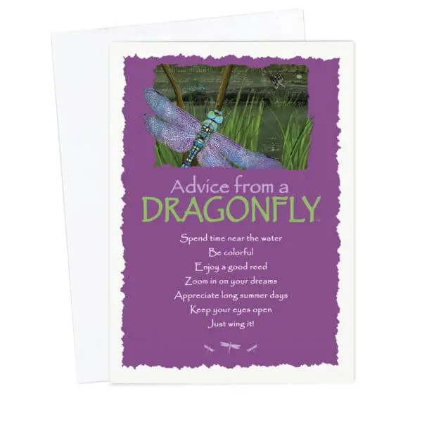  - 235-017-ADVDFLY-BL_lg