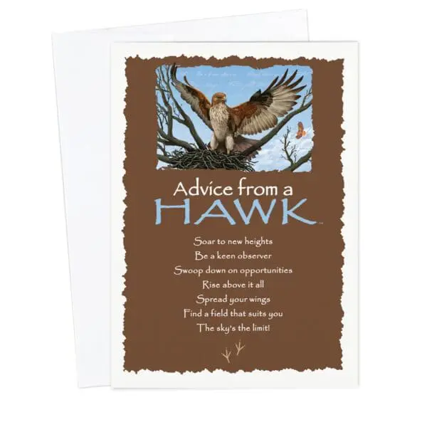  - 235-034-ADVHAWK-BL_lg