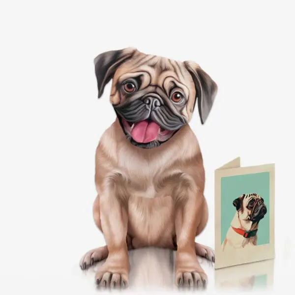  - 327-1007_1