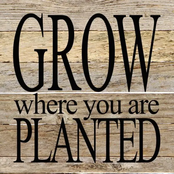  - 789-10PLANTED-NR_lg