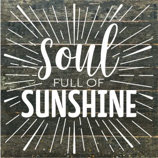  - 789-10SOULSUN-ES_lg