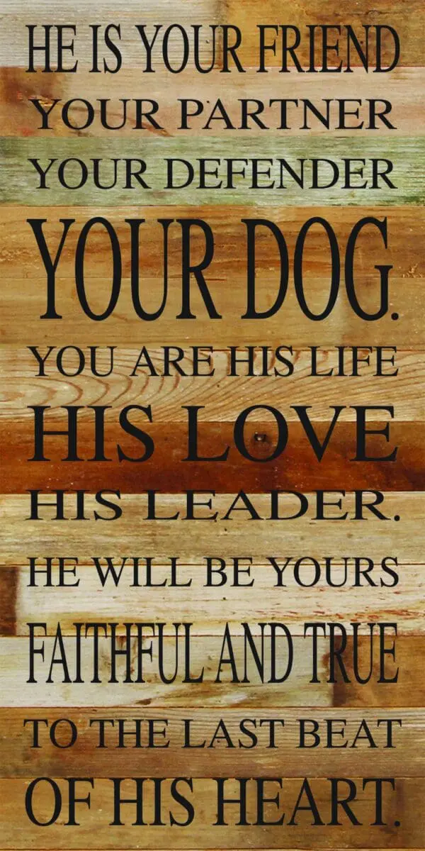 - 789-1224YOURDOG-NR_lg