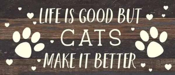 - 789-146CATLIFE-ES_lg