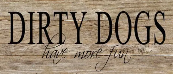 - 789-146DIRTY-NR_lg