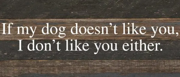 - 789-146DOGLIKE-ES_lg
