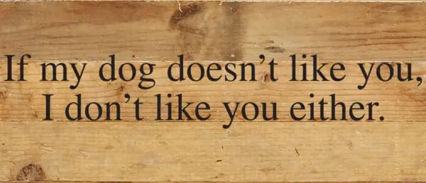- 789-146DOGLIKE-NR_lg