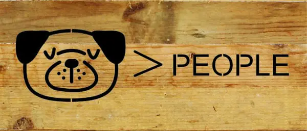  - 789-146DOGPEOPLE-NR
