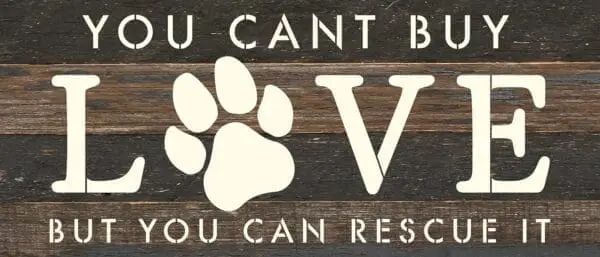 - 789-146DOGRESCUE-ES_lg