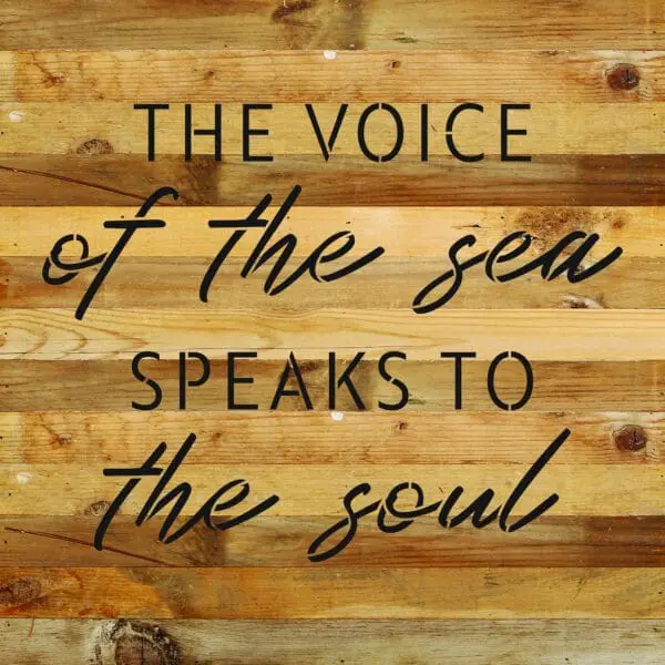  - 789-14VOICESEA-NR_lg
