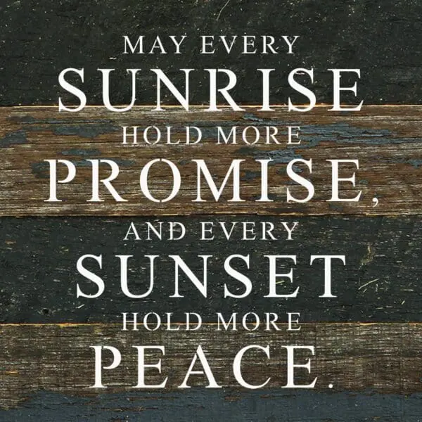- 789-28PROMISE-ES_lg
