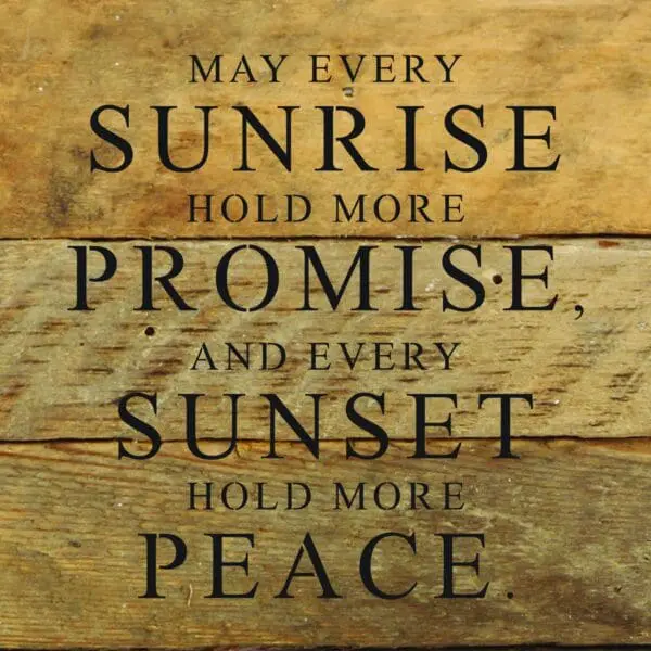  - 789-28PROMISE-NR_lg