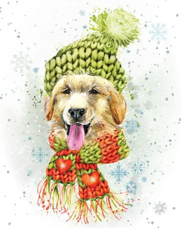  - 8947-XMEHOP0012_lg