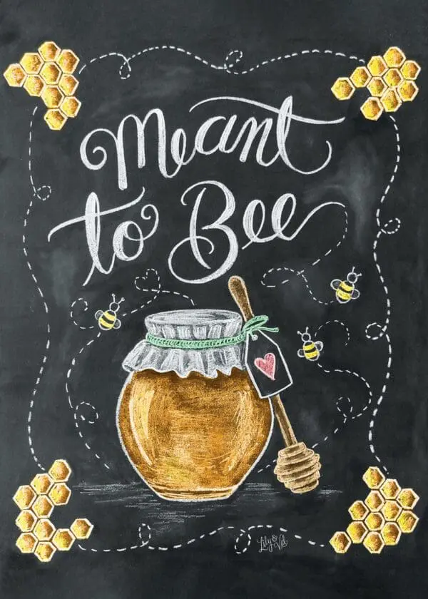  - 564-IOPE0502S_lgjpg