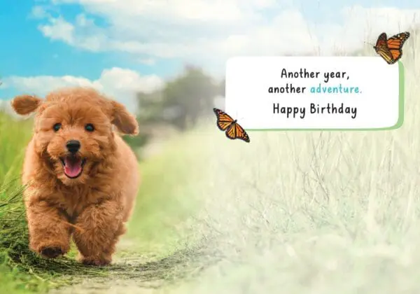  - 564-IOPE0684C_1_lgjpg