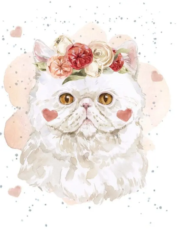  - 7947-VALEHOP0189_lg