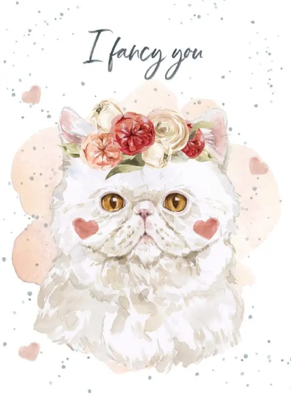  - 7947-VALHOP0189_lg