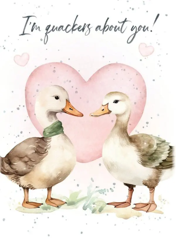  - 7947-VALHOP0222_lg