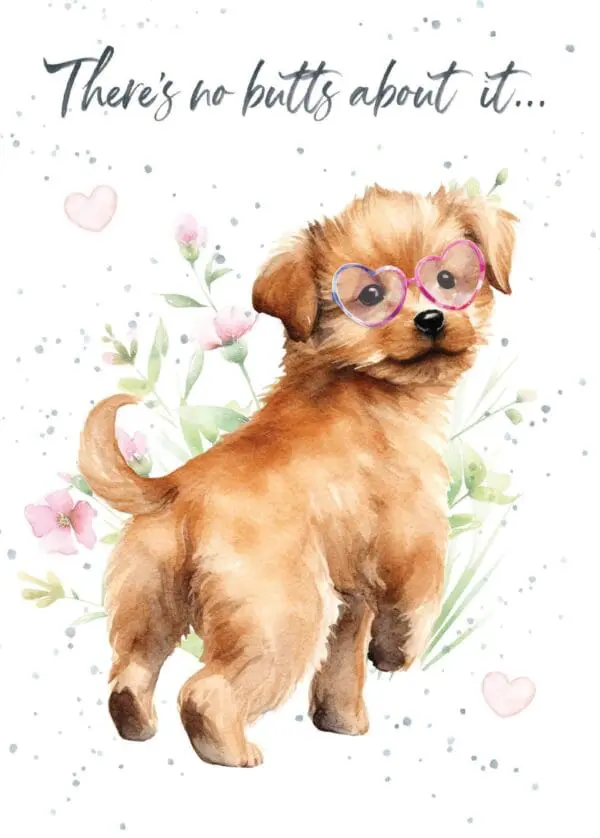  - 7947-VALHOP0223_lg