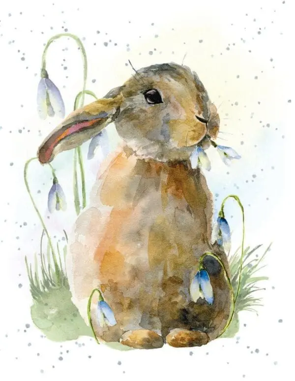  - 6947-MDEHOP0198_lg