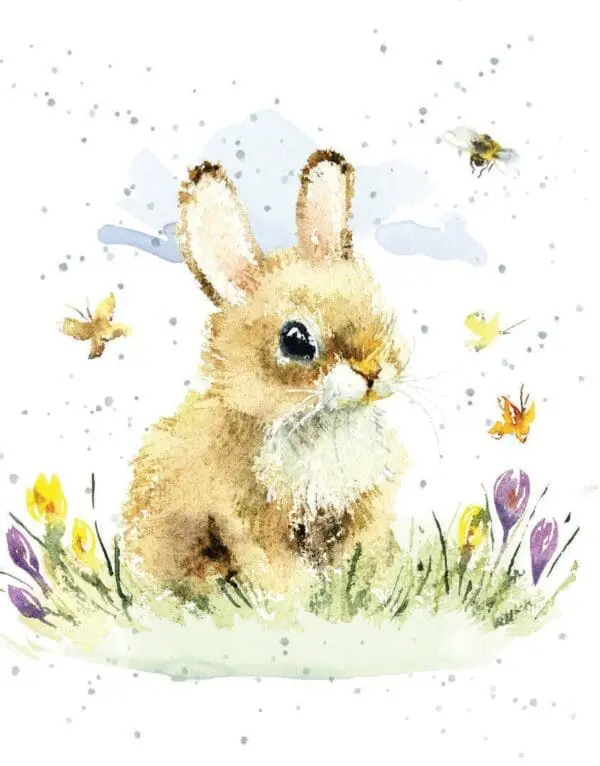  - 6947-MDEHOP0217_lg