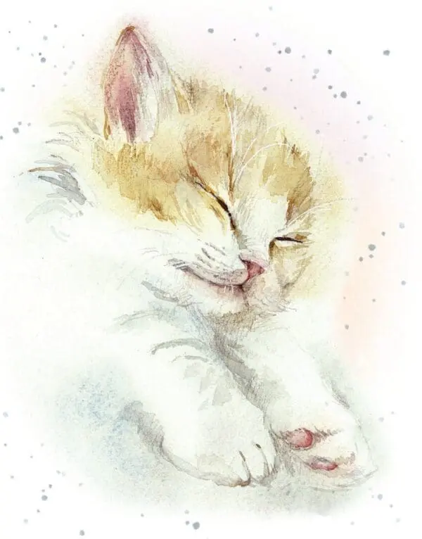  - 6947-MDEHOP0220_lg