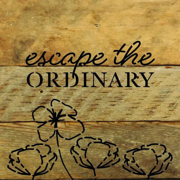  - 789-06ESCAPE-NR