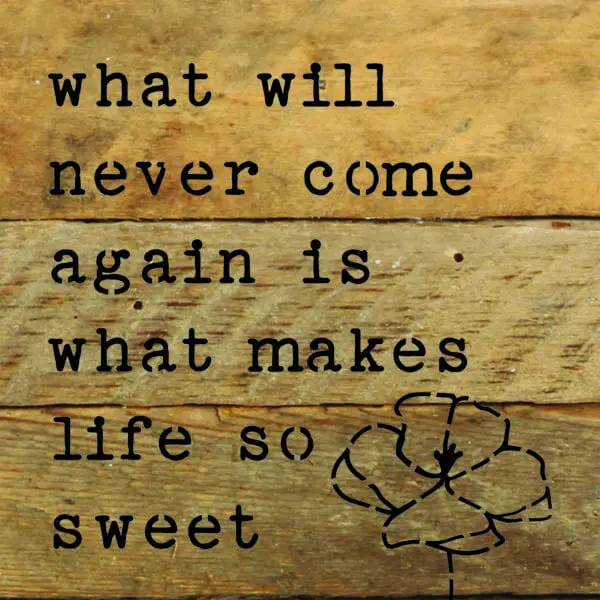  - 789-06SOSWEET-NR