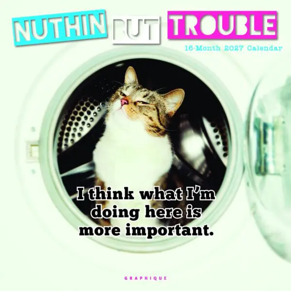  - 2027GDF-CY01727_lg