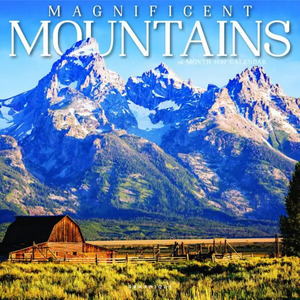  - 2027GDF-CY61427_lg