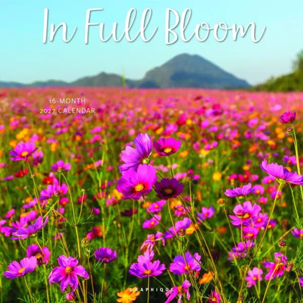  - 2027GDF-CY73627_lg