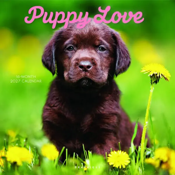  - 2027GDF-CY97227_lg