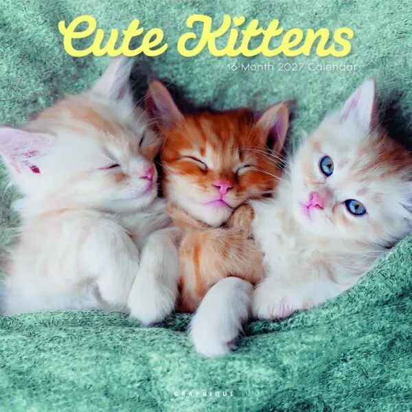  - 2027GDF-CY97627_lg