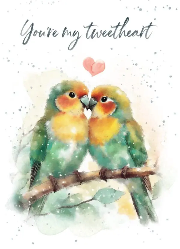  - 7947-VALHOP0353_lg