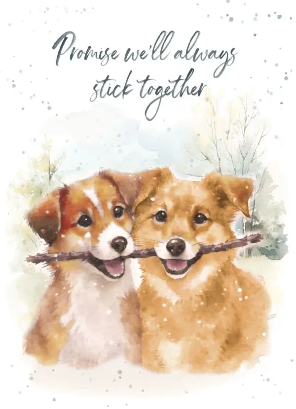  - 7947-VALHOP0355_lg