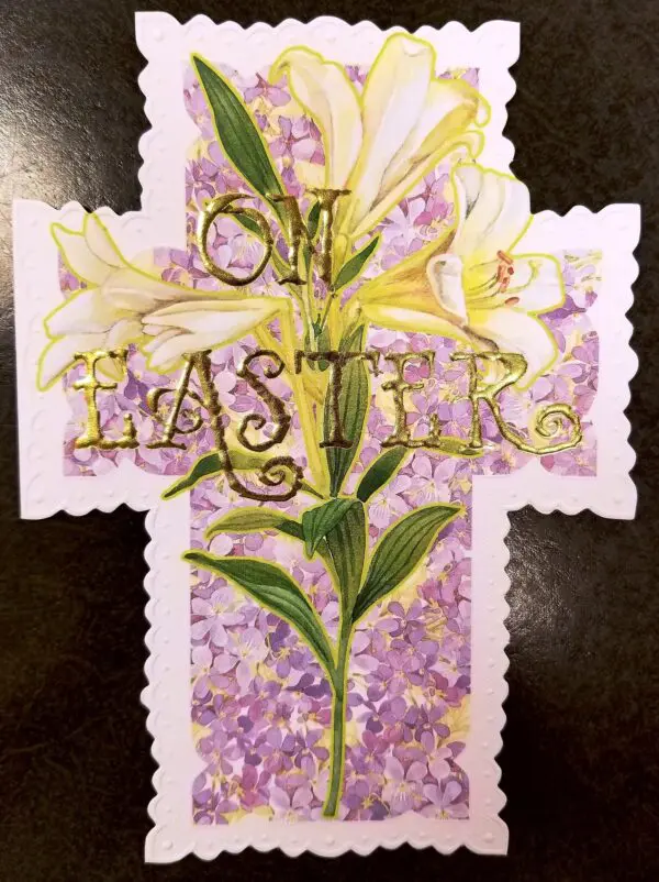  - 64200-CRGE07824_lgjpg