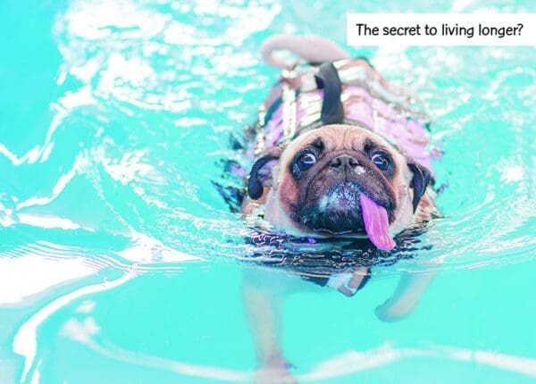  - 2800-774-01411_lg.jpg