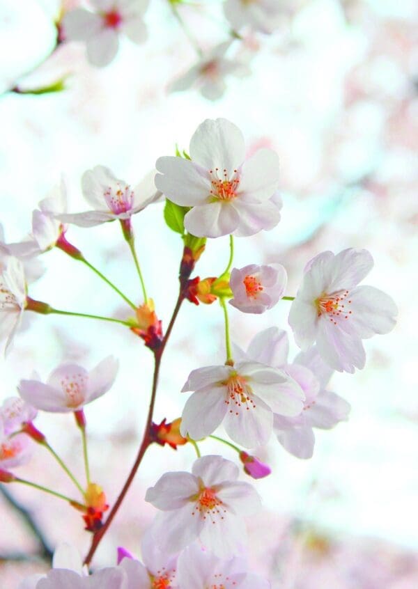  - 2800-774-01449_lg.jpg