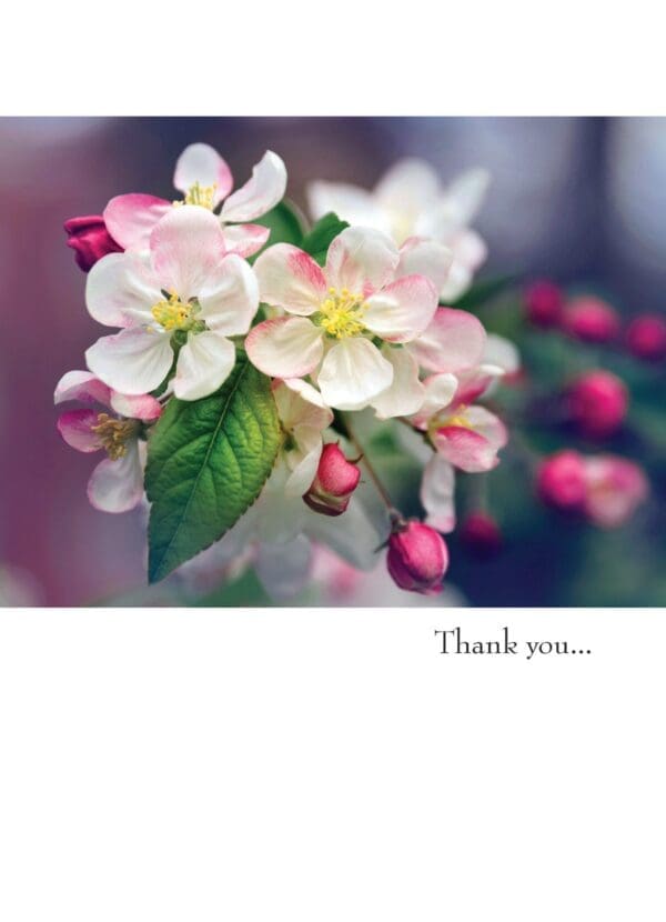  - 430-GC1398AN_lg.jpg